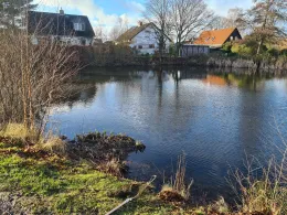 Kuhlenteich (Reinbeck)-1