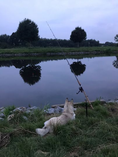 Elbe-Lübeck-Kanal (Lankau)-2