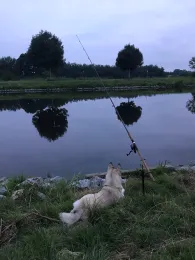 Elbe-Lübeck-Kanal (Lankau)-2