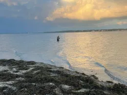 Flensburger Förde (Sønderhav)