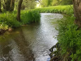 Schelde (Dillenburg)