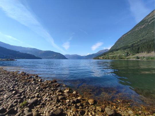 Kinsarvik