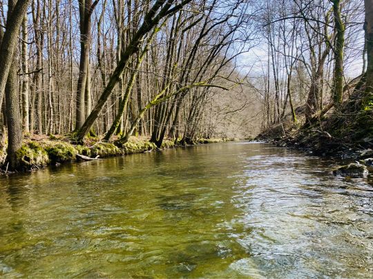 Wisser Bach (Wissen)-2