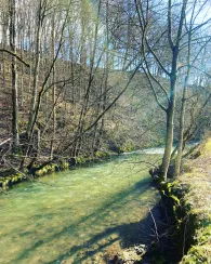 Wisser Bach (Wissen)