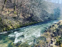 Wisser Bach (Wissen)-1