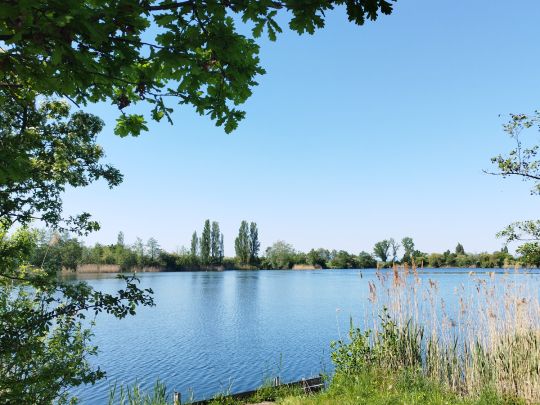 Oberwiesensee (Trebur)