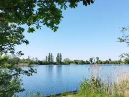 Oberwiesensee (Trebur)