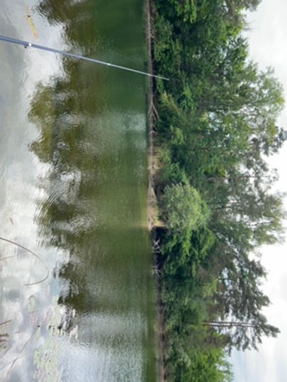 Gemeindeloch I/II (Wörth am Rhein)-2