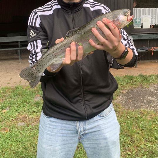 Müllenweiher (Kröv)-3