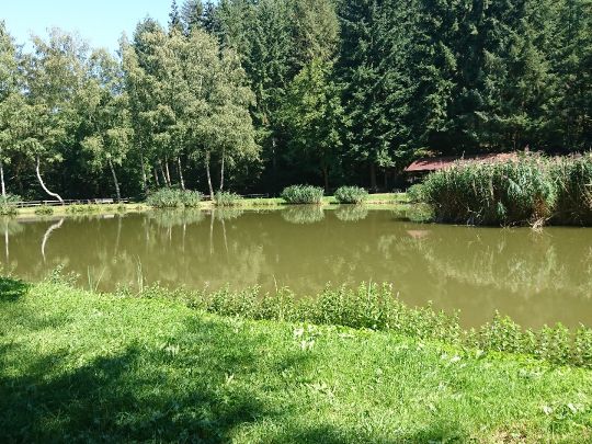 Müllenweiher (Kröv)-1