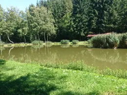 Müllenweiher (Kröv)-1