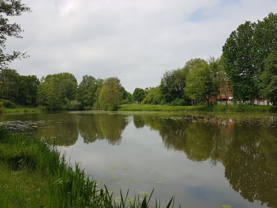 Rückhaltebecken Baßriede 1-1