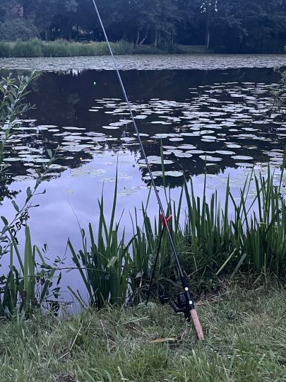 Rückhaltebecken Baßriede 1-2