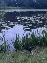 Rückhaltebecken Baßriede 1-2