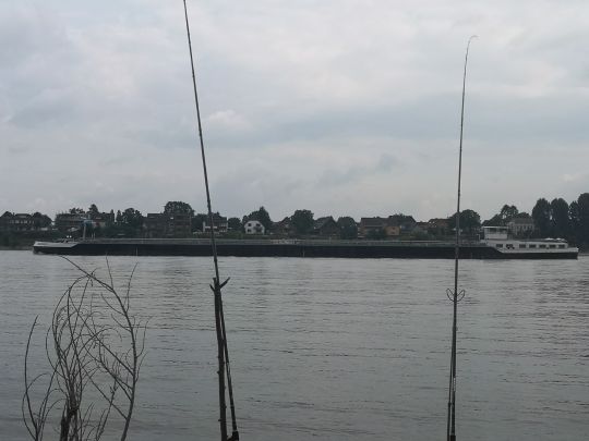 Rhein (Sürth)-1