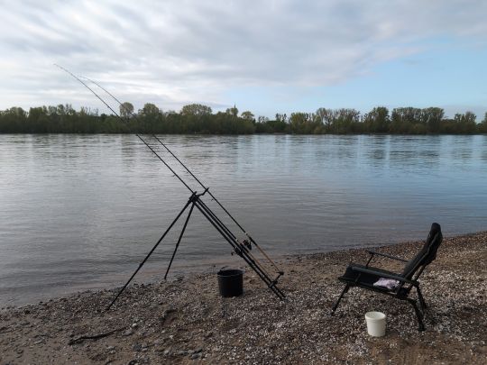 Rhein (Sürth)-4
