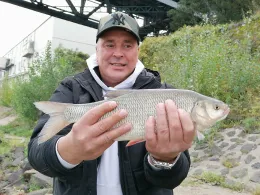 Rhein (Duisburg-Rheinhausen)-3