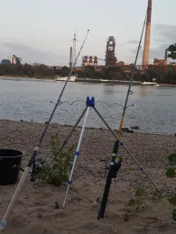 Rhein (Duisburg-Rheinhausen)-1