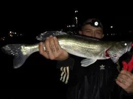 Rhein (Duisburg-Rheinhausen)-2