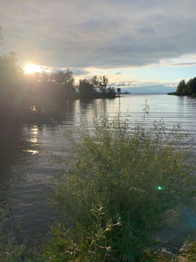 Bodensee (Hard)-1