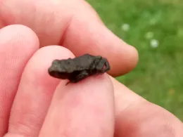 Pfefferteich (Salzwedel)-1