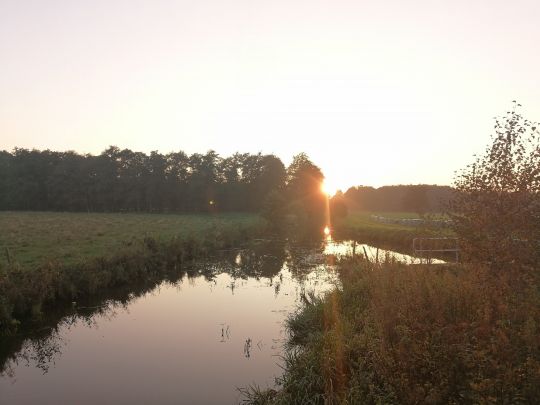 Hörner Au (Osterhorn)-2