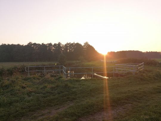 Hörner Au (Osterhorn)-3