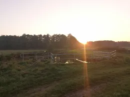 Hörner Au (Osterhorn)-3