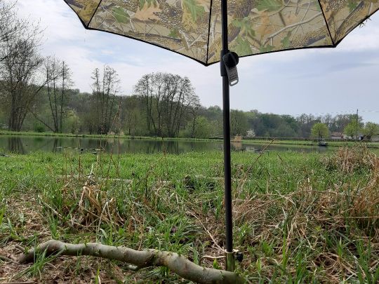 Teich Griedel