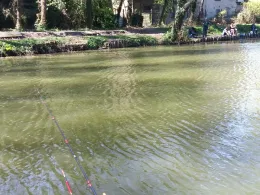 Vereinsgewässer Stolberg-Atsch