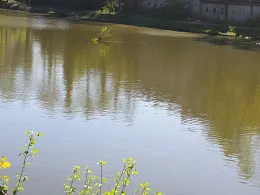 Vereinsgewässer Stolberg-Atsch-2