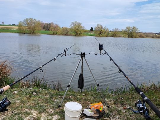 Eschenbacher Weiher (Lohwiesenweiher)-4