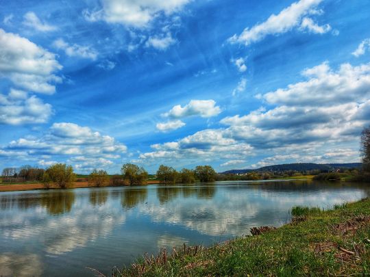 Eschenbacher Weiher (Lohwiesenweiher)-1