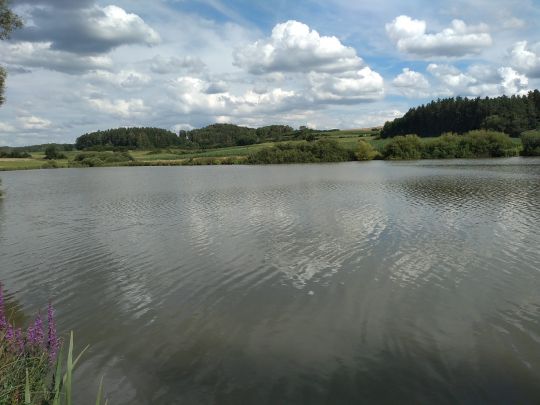 Eschenbacher Weiher (Lohwiesenweiher) angeln