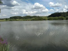 Eschenbacher Weiher (Lohwiesenweiher)