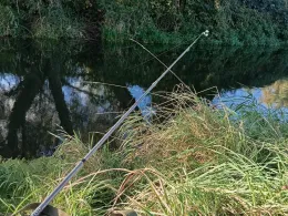 Recknitz (Bad Sülze)