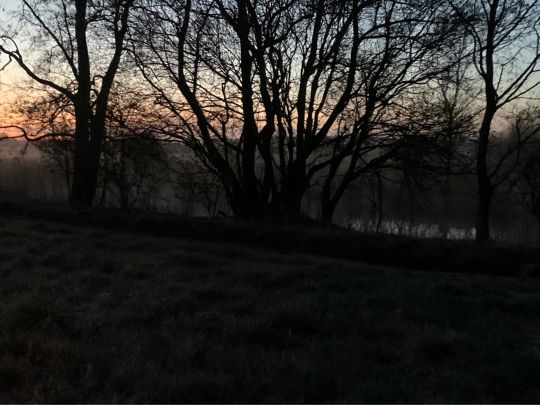 Recknitz (Bad Sülze)-2