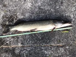 Voßkanal (Liebenwalde)-1