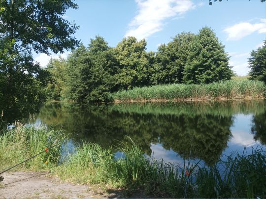 Voßkanal (Liebenwalde) angeln