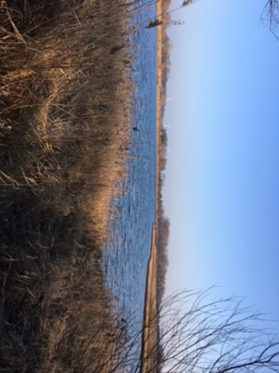 Athenslebener See