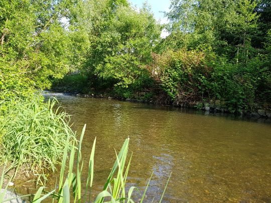 Zwönitz (Burkhardtsdorf)-3