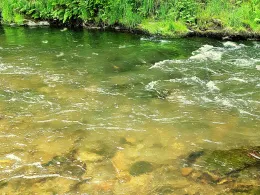 Zwönitz (Burkhardtsdorf)-1