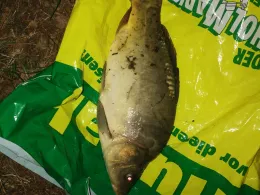 Bantikower See (Untersee)-4