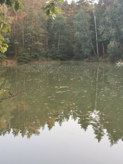 Tonschacht (Labaun)-2