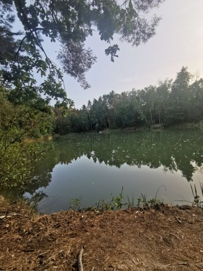 Tonschacht (Labaun)-1