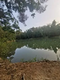 Tonschacht (Labaun)-1