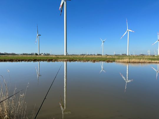 Helser Fleet / Kattrepler Fleet-2