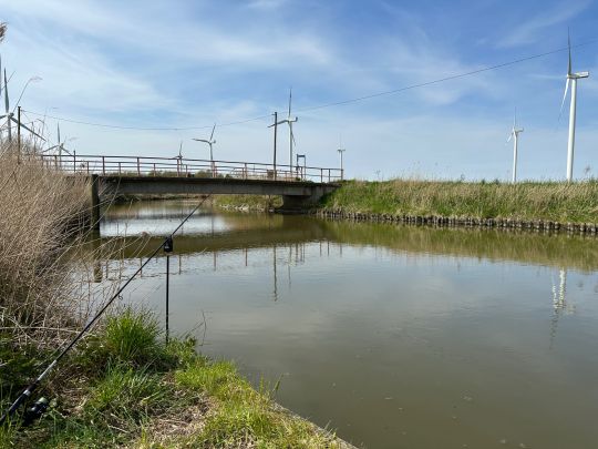 Helser Fleet / Kattrepler Fleet-4