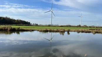 Helser Fleet / Kattrepler Fleet