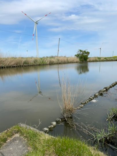 Helser Fleet / Kattrepler Fleet-1